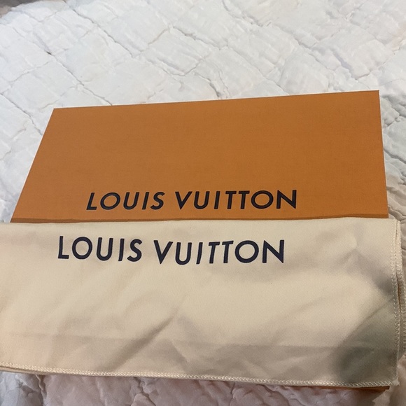 EUC Louis Vuitton black Saintonge Bag - Picture 3 of 8